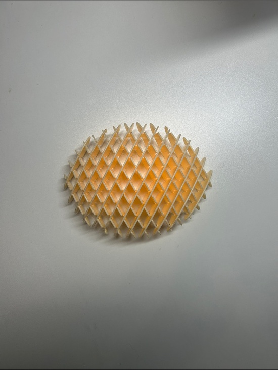 Other - Round Honeycomb fidget